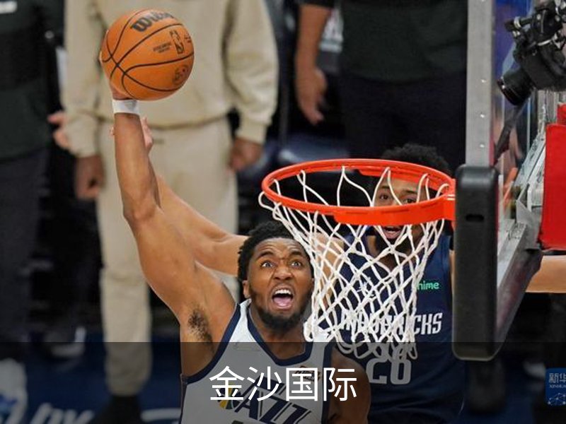 金沙国际概况